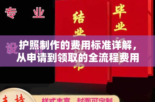 曾都护照制作的费用标准详解，从申请到领取的全流程费用指南