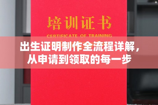 曾都出生证明制作全流程详解，从申请到领取的每一步