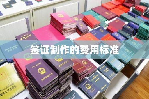 曾都签证制作的费用标准