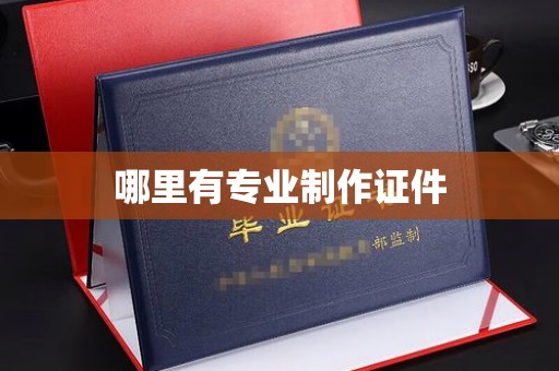 曾都哪里有专业制作证件