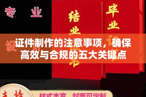 曾都证件制作的注意事项，确保高效与合规的五大关键点